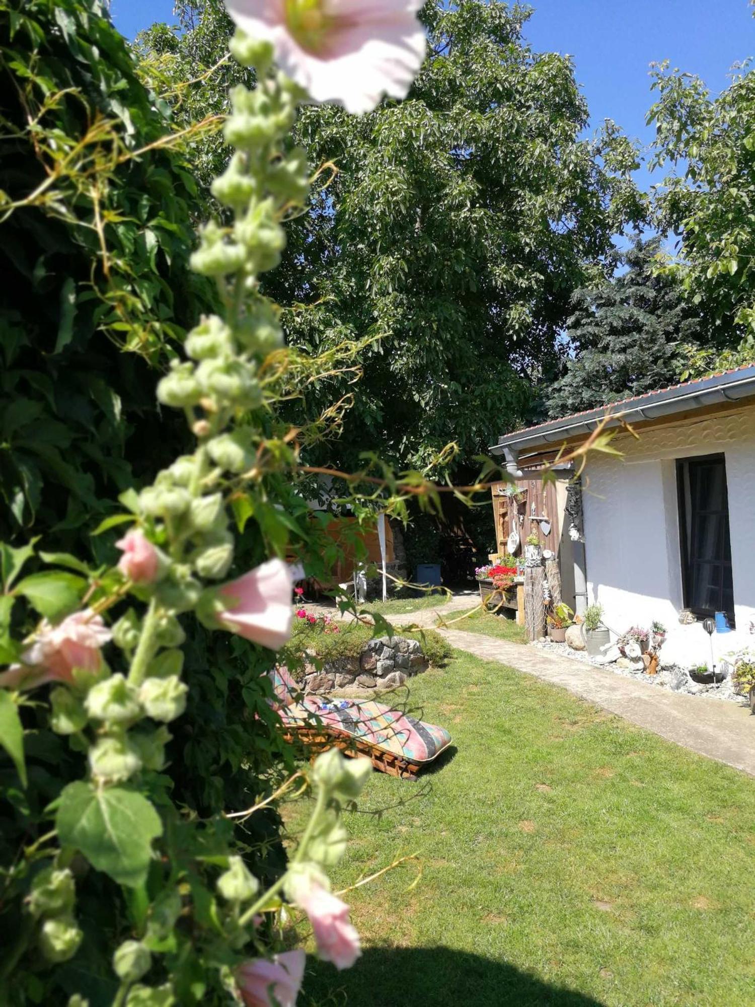 Bungalow Bei Warnemuende Elmenhorst/Lichtenhagen Eksteriør bilde